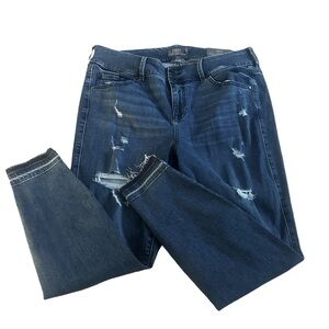 NWT Womens Torrid Super Soft Stretch Hi Rise Jeggings Plus size‎ 16